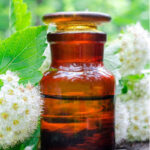 Litsea Cubeba – Meikruid – May Chang Etherische Olie
