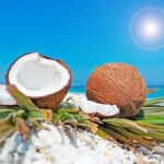 Fragrance oil - Caribbean Coconut