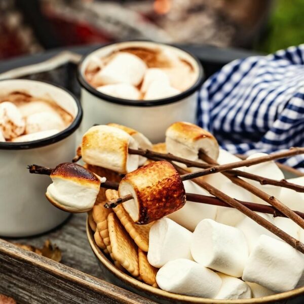 Fragrance Oil - Marshmallows at the Fire Inspired - 10 ml