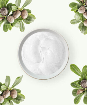 Sheabutter Bio - Raffiniert - 500 gr