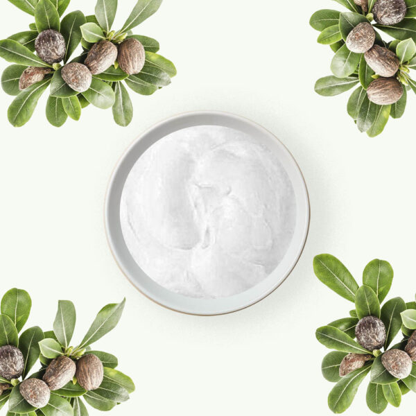 Shea Butter Organic - Refined