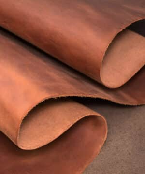 Fragrance Oil - Celestial Vanilla & Leather
