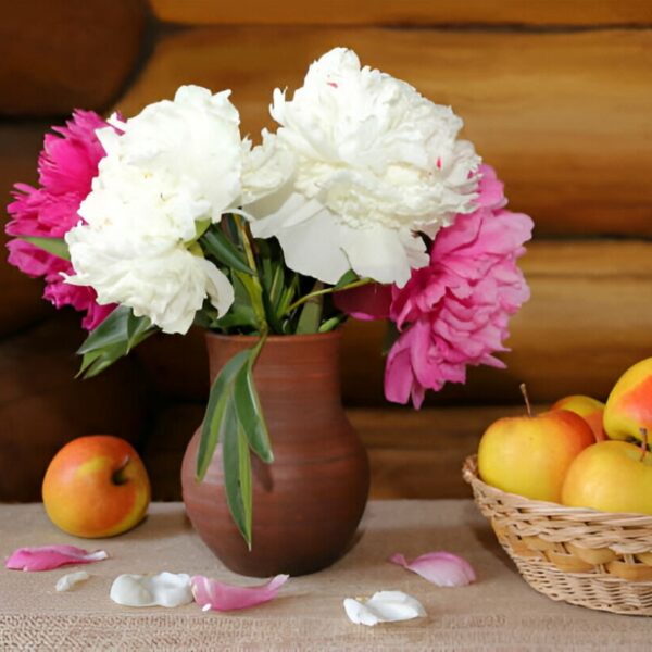 Huile de parfum - Peony & Blush Suede