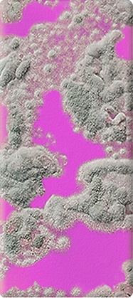 heavy mold growth on slide