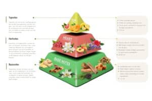 De Olfactorische Piramide Begrijpen: Het Geheim Achter Elke Geur