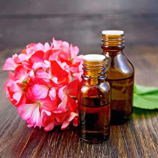 Ätherisches Öl der Rose Geranie Bio