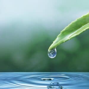 Gedestilleerd water voor skincare en cosmetica