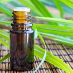 Citronella Essential Oil Organic