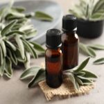 Muskaatsalie – Clary Sage Etherische Olie