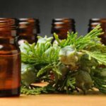 Cypres Etherische Olie Biologisch