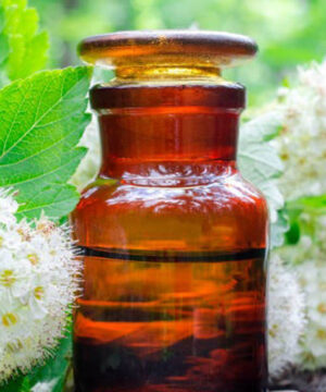 Aceite esencial de Litsea Cubeba (May Chang) BIO