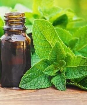 Pepermunt Etherische Olie Biologisch