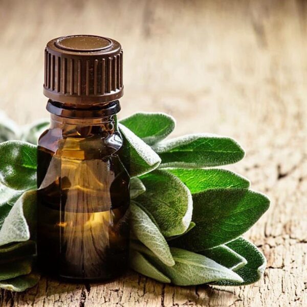 Olio essenziale di salvia biologico