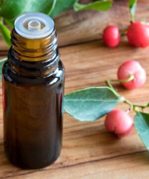 Wintergroen Etherische Olie Biologisch