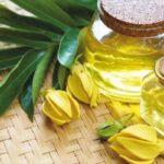 Ylang Ylang Compleet Etherische Olie Biologisch