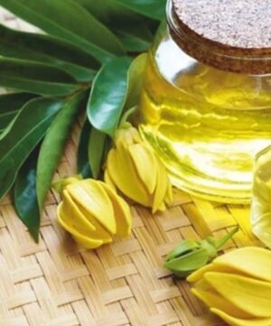 Ylang Ylang Compleet Etherische Olie Biologisch