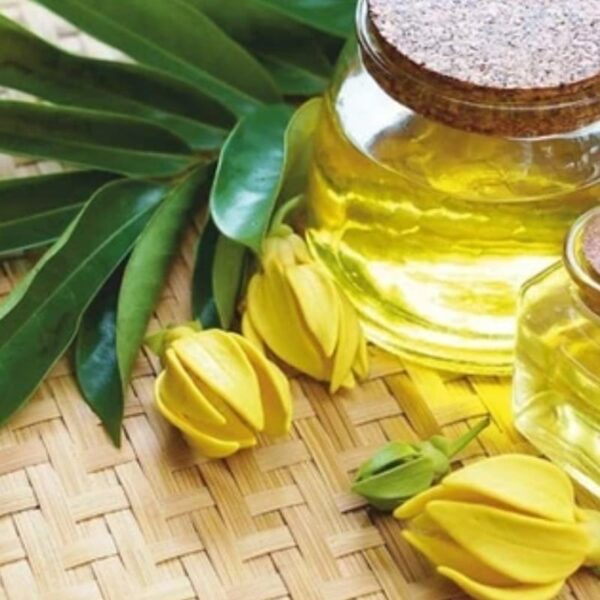 Ätherisches Öl Ylang Ylang Komplett Bio
