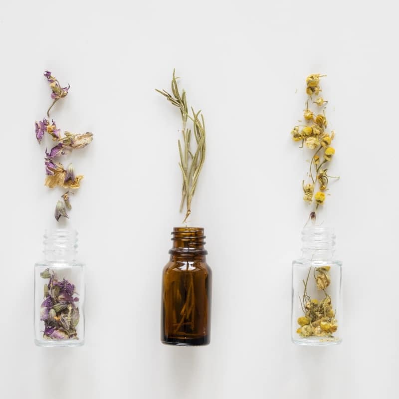 Essential Oil Notes Blends Gids voor Etherische Oliën