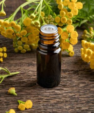 Helichrysum etherische olie