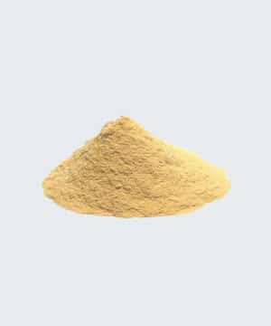 Ashwagandha in polvere