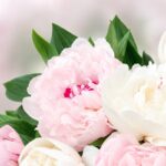 Fragrance oils - Sweet Rose