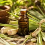 Ginger Grass Essential Oil