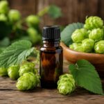 Hop Essential Oil – Humulus Lupulus