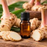 Galangal Etherische Olie